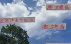 張玉寧高天意，國安申花精英；留洋進國家隊，實力非凡。