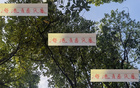海港青春風暴，李新翔領銜，大連賽進球助攻亮眼！