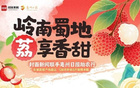 國足行李多疑，開箱解惑封面評