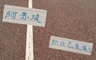 申花阿蘇埃加班敬業(yè)，職業(yè)態(tài)度滿(mǎn)分！