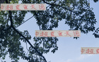 夏窗收官，四隊(duì)顯高級風(fēng)范。