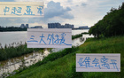 申花外援，年底合同到期，特謝拉續(xù)約可能性低。