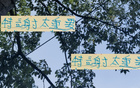 吳曦、楊皓宇無法替代特謝拉10號位，浙江比賽失利。