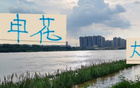 瓦西里離隊(duì)傷申花，攻勢(shì)減弱，防守不穩(wěn)。