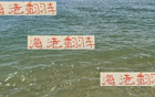 誰料海港穩(wěn)勢被天津隊(duì)拉下第三名，第22輪中超前四。