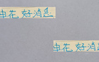 申花多名球員轉(zhuǎn)戰(zhàn)武漢三鎮(zhèn)，路易斯缺席。