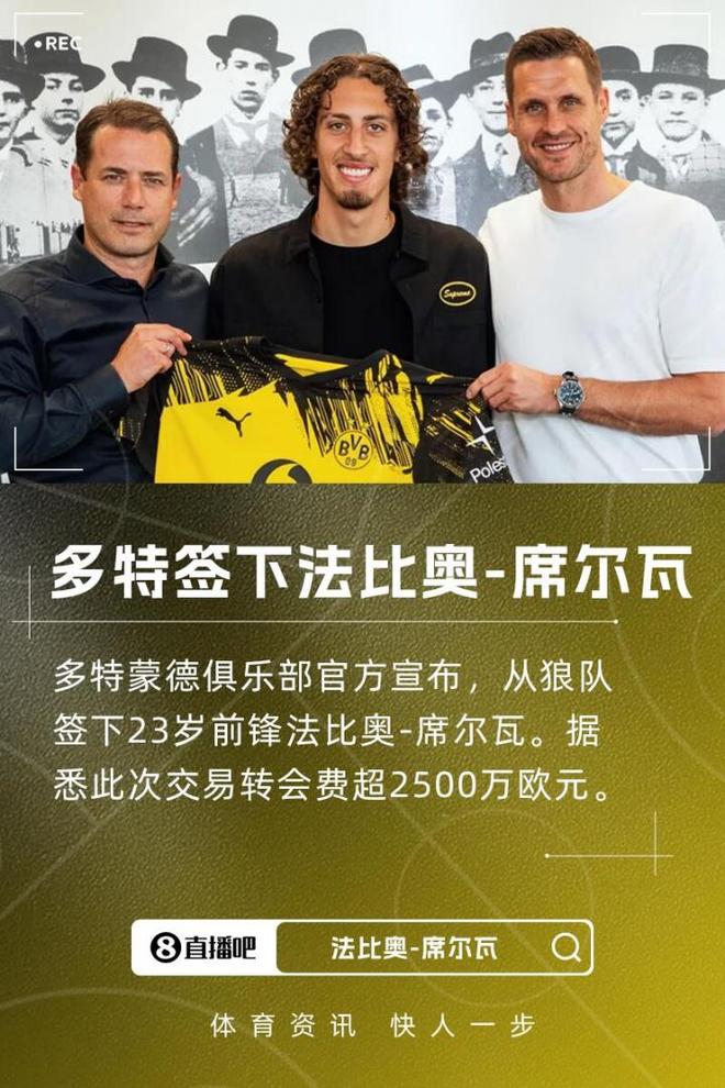 多特新援法比奧，2500萬歐加盟，球隊(duì)實(shí)力強(qiáng)，有望歐冠奪冠。