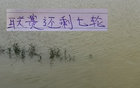 海港挑戰(zhàn)強(qiáng)敵，聯(lián)賽余七輪，對決北京國安及山東泰山。