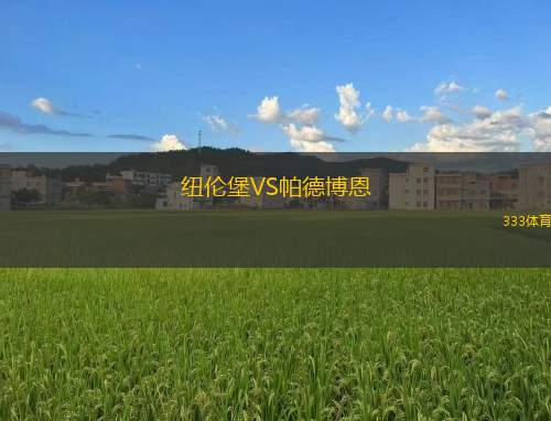 斯太爾前進VS格來斯多夫