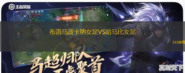 布里維斯卡VS柏倫西亞