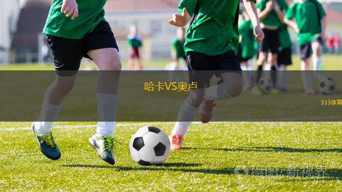 塞爾VS希爾德斯海姆