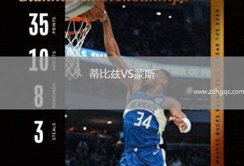 蒂比茲VS蒙斯