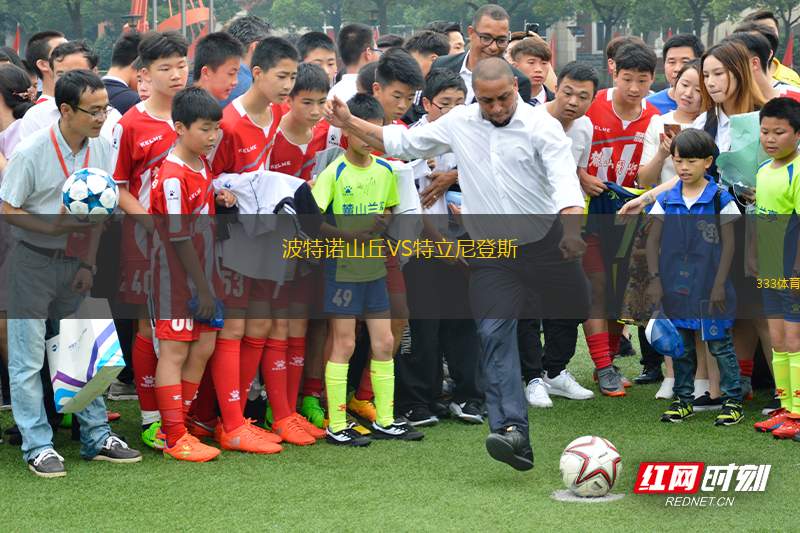 圣奧爾本斯圣特斯VS格林古利
