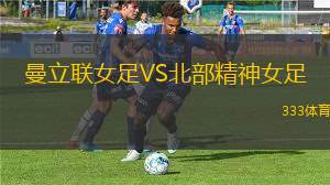 巖手盛岡仙鶴VS鈴鹿無限