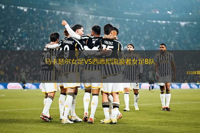 西部聯(lián)青年FCVS墨爾本塞爾維