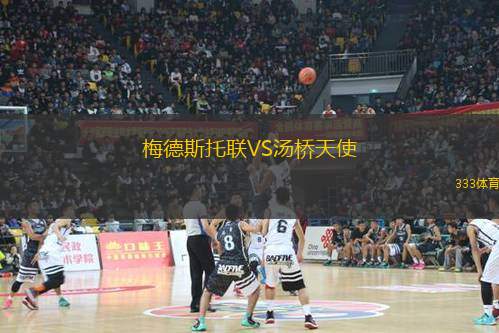 新潟天鵝乙隊(duì)VS幼獅隊(duì)