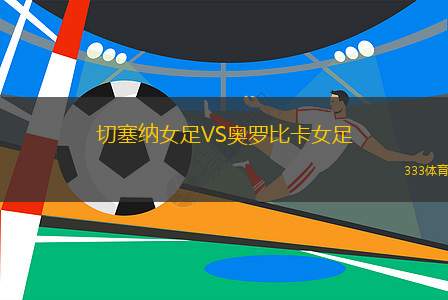 莫托勒VS布杰約維采迪納摩B隊(duì)