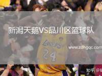 新潟天鵝VS品川區(qū)籃球隊