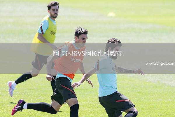 阿卡達格VS阿拉比科威特