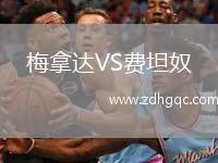 梅拿達VS費坦奴