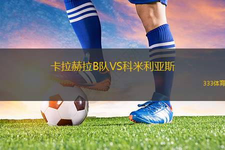 波德科尼斯VS拉卡