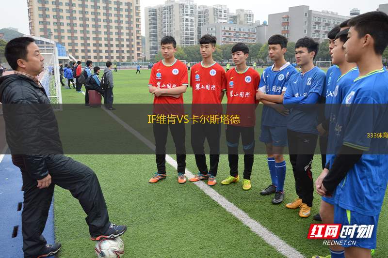 諾沃拉德盧切內(nèi)茨VS斯尼納