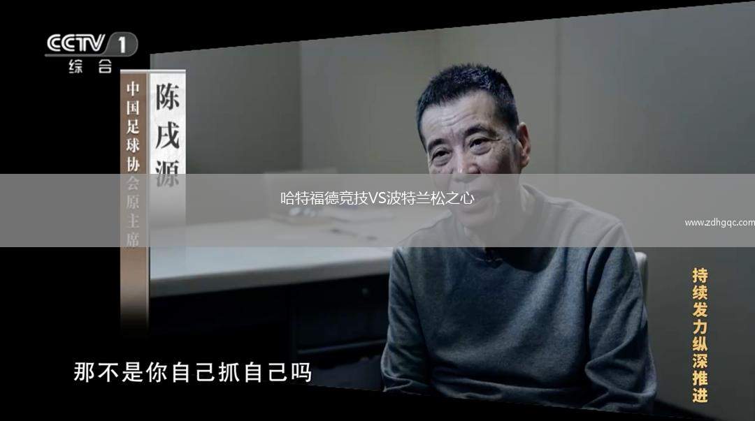 哈特福德競技VS波特蘭松之心