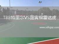 TBB特里爾VS圖寅根雷達(dá)虎
