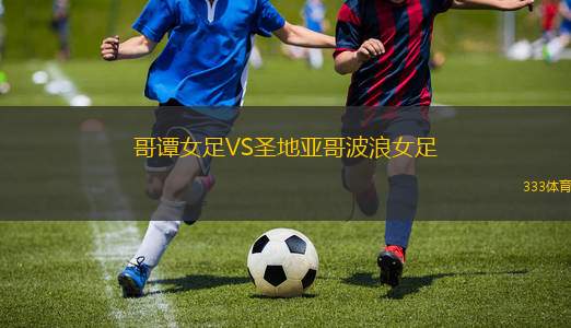 巴勒莫VS南蒂羅爾