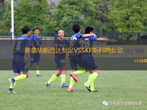 阿德萊德彗星后備隊(duì)VS白城FK貝爾格萊后備隊(duì)