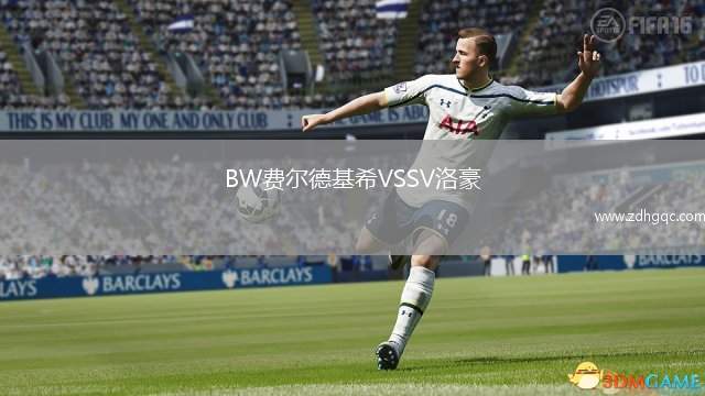 BW費(fèi)爾德基希VSSV洛豪