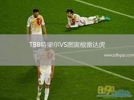 TBB特里爾VS圖寅根雷達(dá)虎