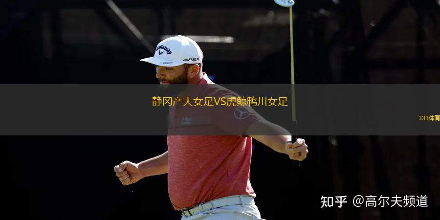 加拉法VS阿爾科爾