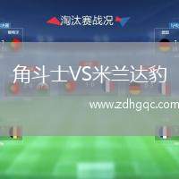 角斗士VS米蘭達(dá)豹