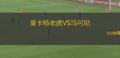 FC德森霍芬VS斯切丁喜寧