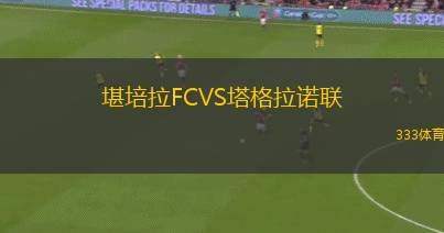 DJK阿默VS維爾茨堡FV