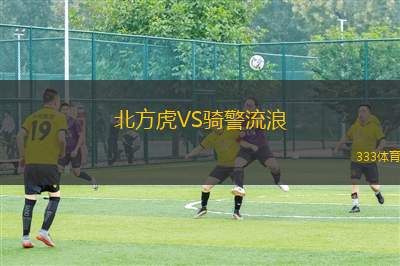 蒙扎U19VS維羅納青年隊