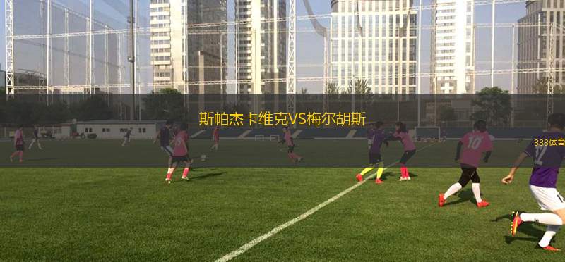 霍芬海姆青年隊VSFC吉森
