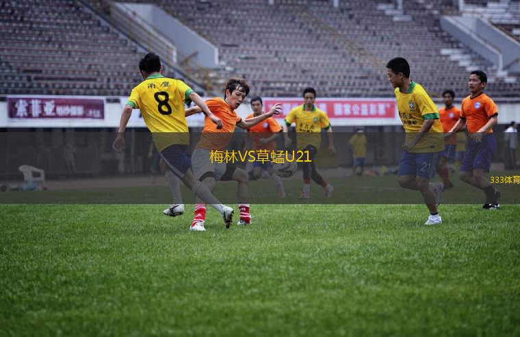 FC天堂VS布魯爾