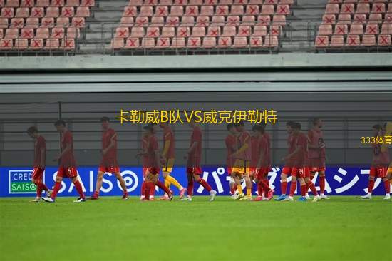 斯?fàn)栔Z特VS國際里梅拉