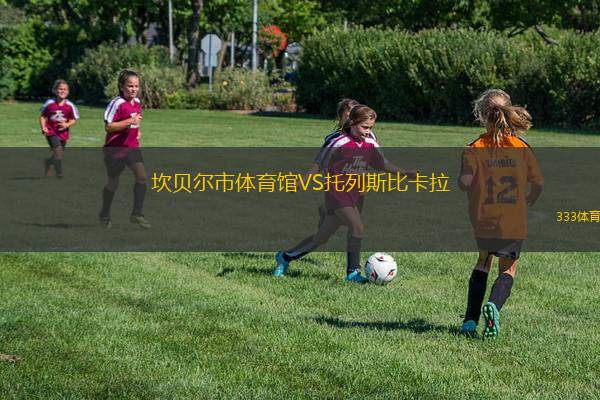 悉尼聯(lián)VS格蘭維爾狂暴