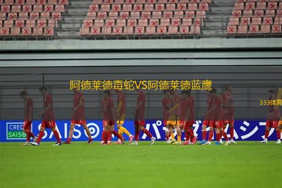 塔林加流浪VS耶龍加