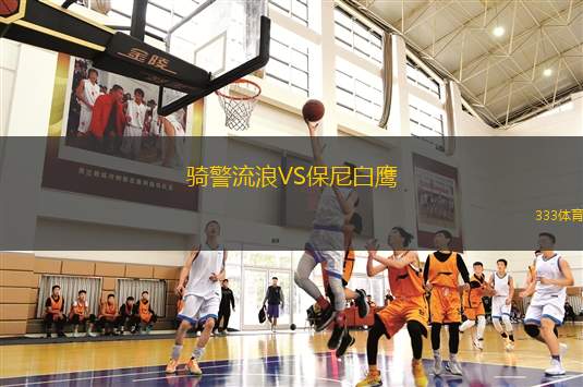 斯凱爾涅維采VS蘇瓦烏基