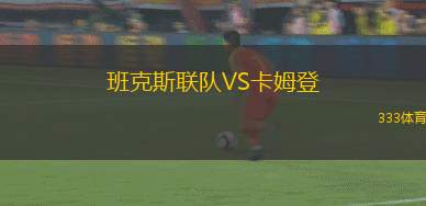 奧地利維也納青年隊(duì)VS莫埃爾韋爾克