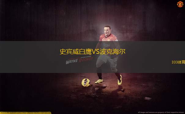 杜本多夫VS巴黑德