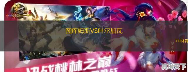 坎托勞體育學(xué)院VS科梅爾奇