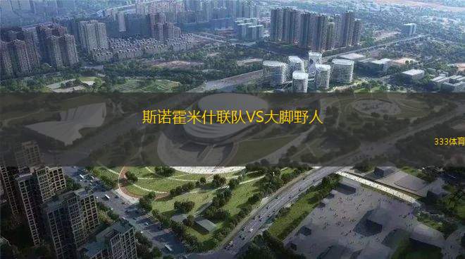 新宿創(chuàng)造VS潤梅爾青森