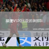 獵鷹VS岡比亞武裝部隊(duì)