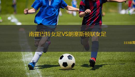 赫魯欽VS布蘭斯科