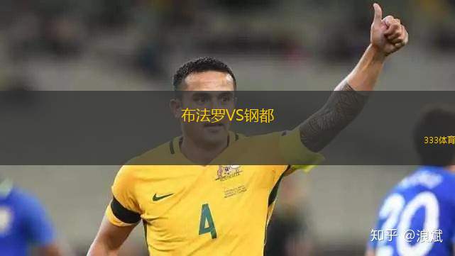 雙城巨嘴鳥VS丘陵狼